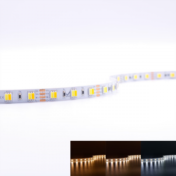 Strip CCT Dual Weiß 12V LED Streifen 5M 14,4W/m 60LED/m 10mm IP20 Lichtfarbe einstellbar